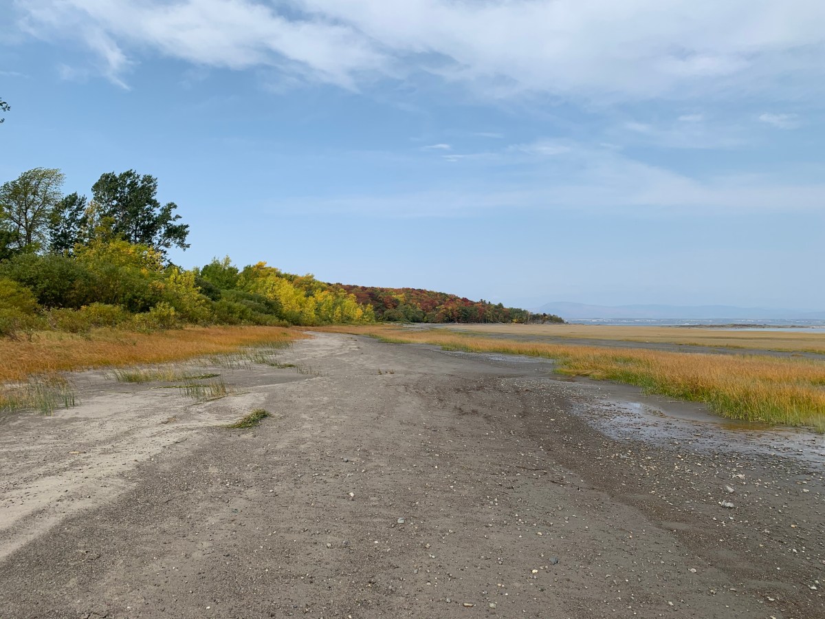 10 Reasons Why I Love Fall&nbsp;🍂