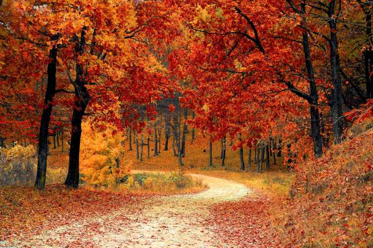 The Best Fall Activities for THIS&nbsp;October!