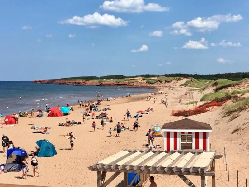 12 Ideas to Add to Your Summer Bucket&nbsp;List🌴