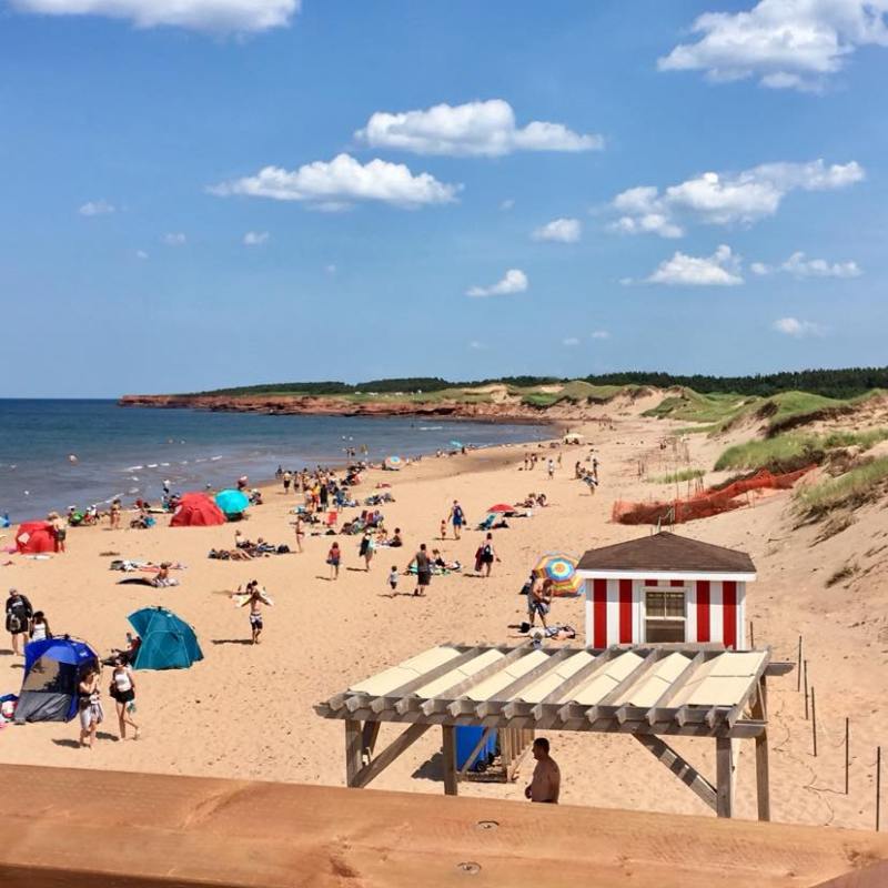 12 Ideas to Add to Your Summer Bucket&nbsp;List🌴