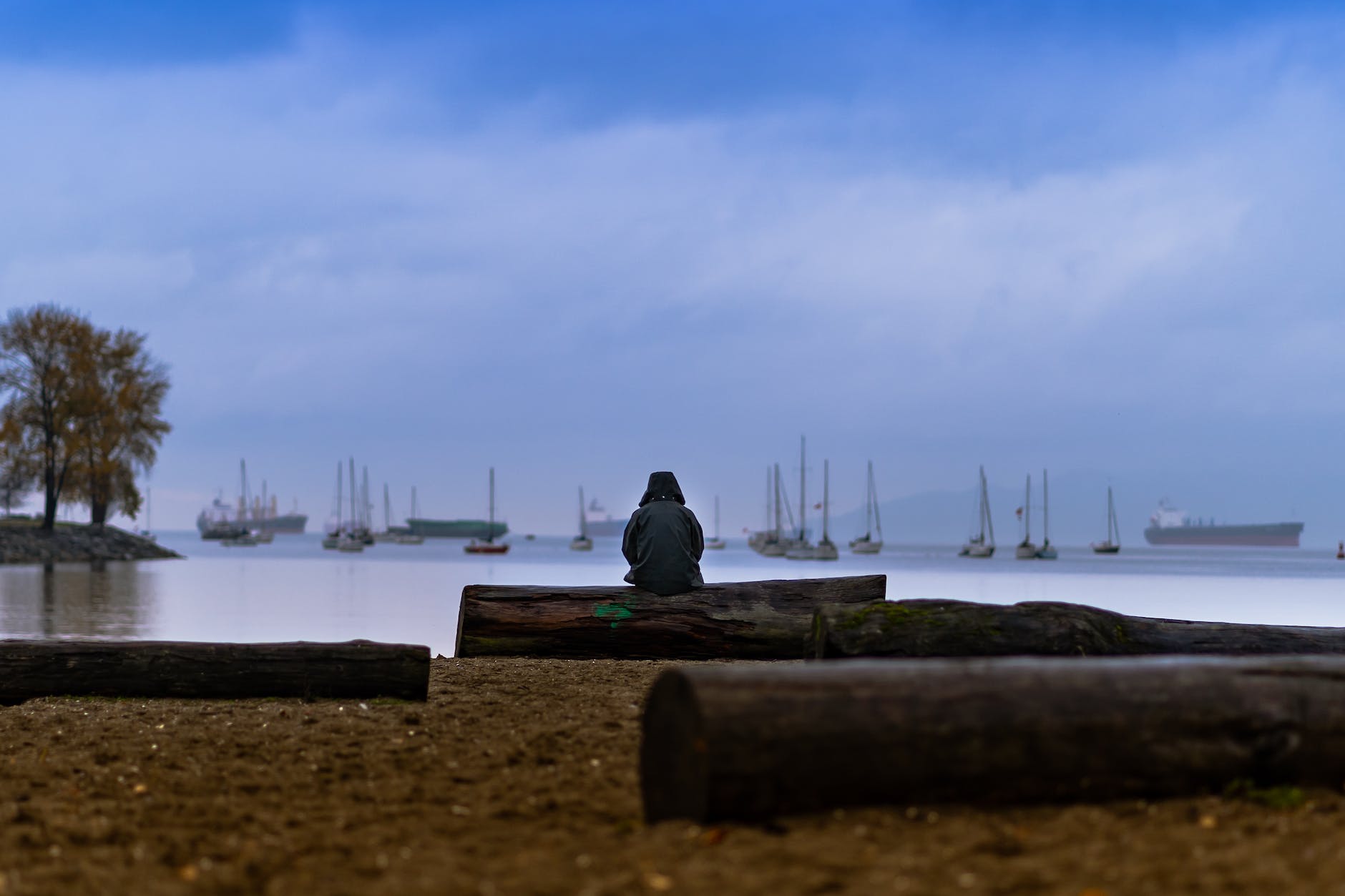 person sitting on brown wood log