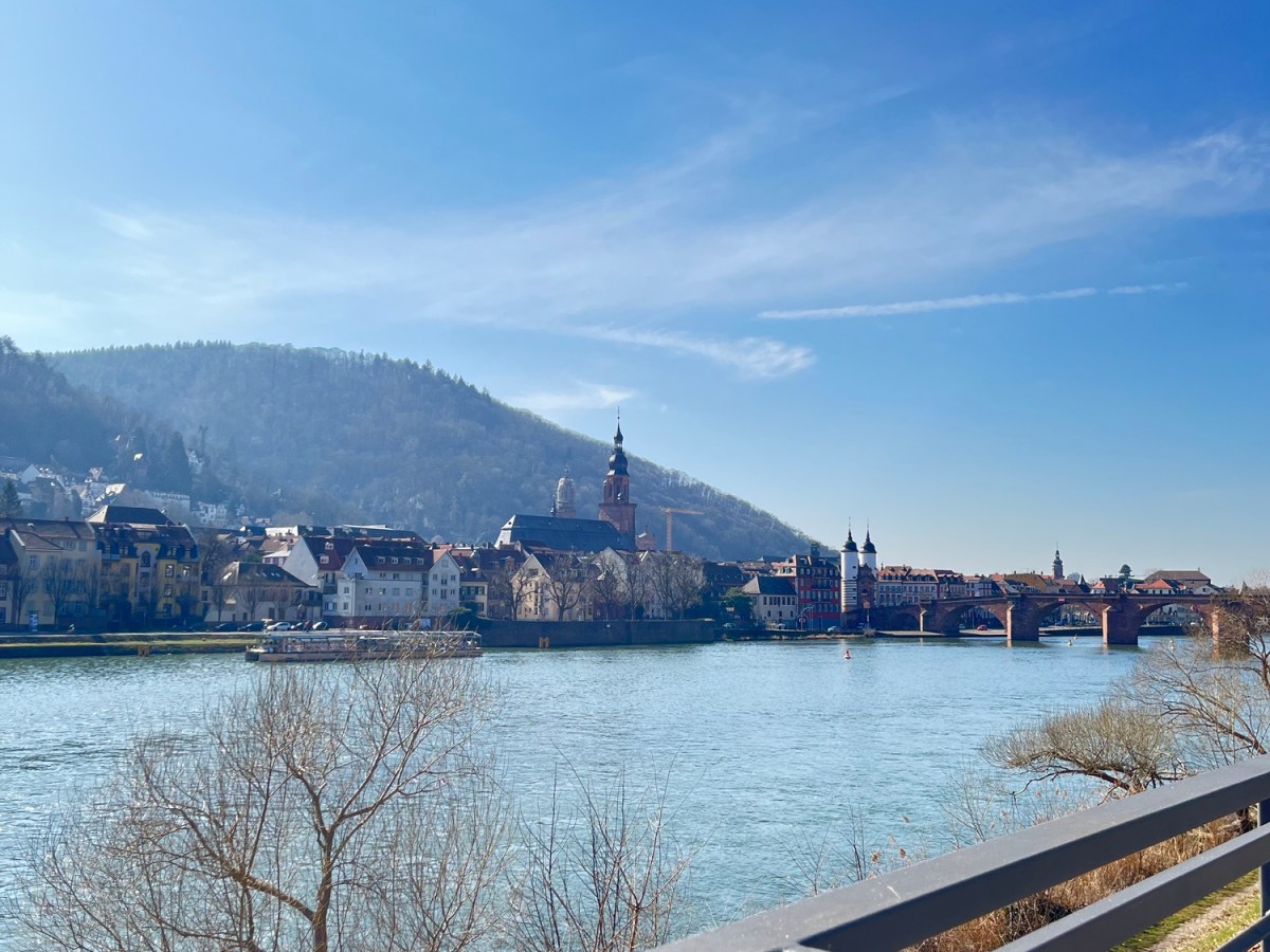 The Monkey Statue of&nbsp;Heidelberg